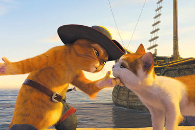 le chat poter